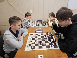 Открытое учебно-тренировочное мероприятие по шахматам
