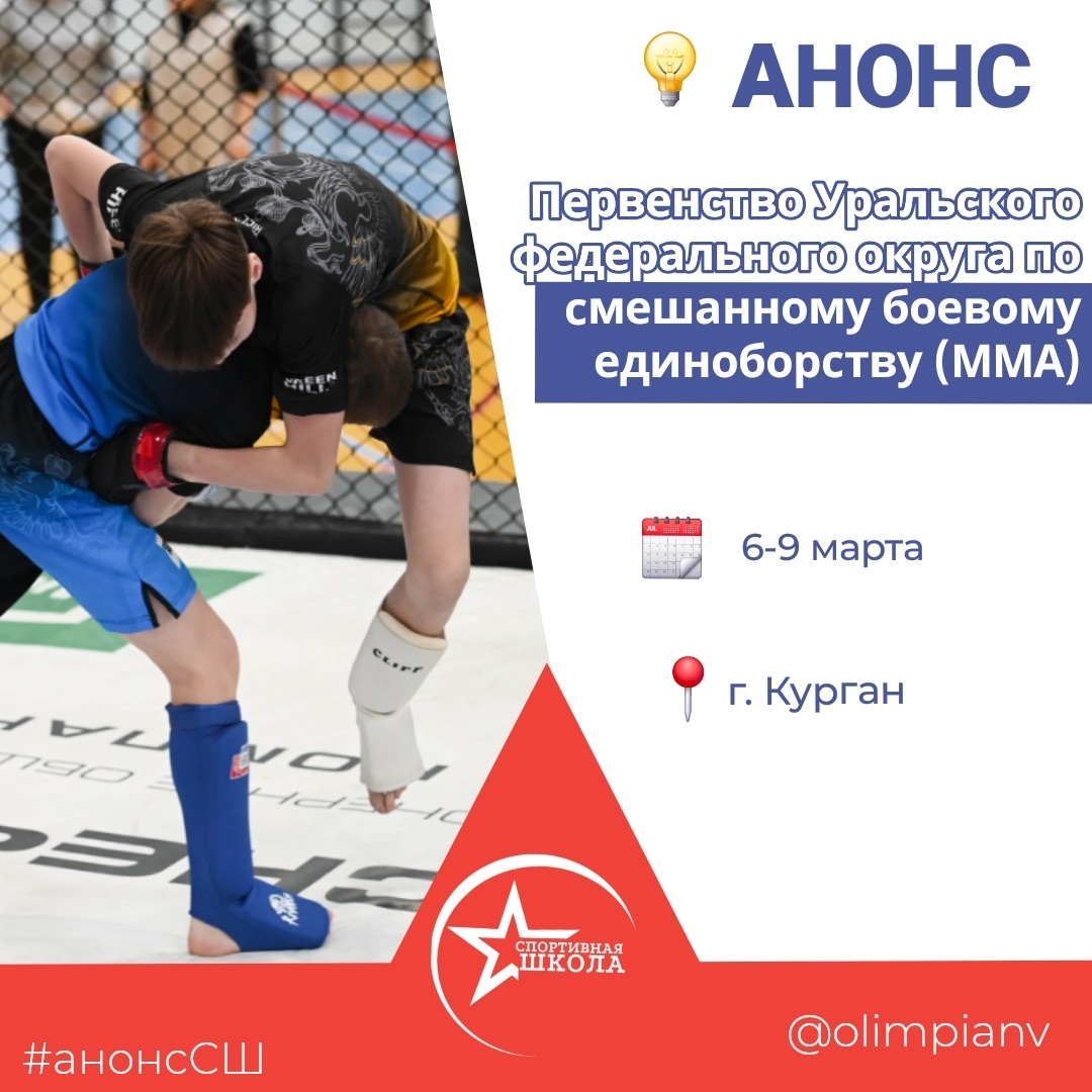 Анонс. Смешанное боевое единоборство