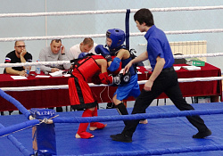 Завершился чемпионат Югры по тайскому боксу