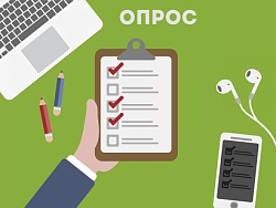 Опрос жителей города о тематике новогоднего городка