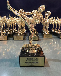 В Сургуте завершился чемпионат и первенство ХМАО-Югры по кикбоксингу