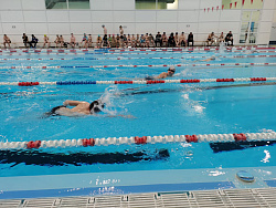 Новости адаптивного спорта