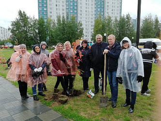 Посадка деревьев прошла успешно