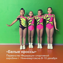 Анонс.Спортивная аэробика