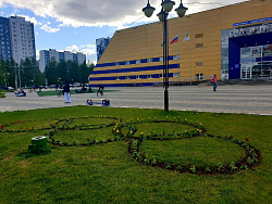 Закладка клумбы