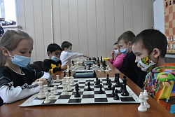 Новости шахмат